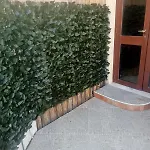 Casa Del Dottore 4*